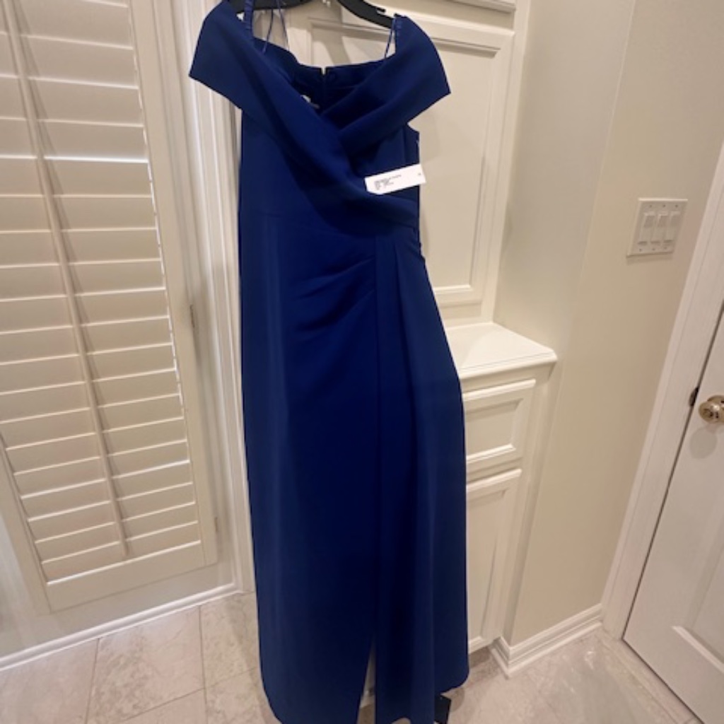Teri Jon By Rickie Freeman Size 8 Full Length Mother Of Dress